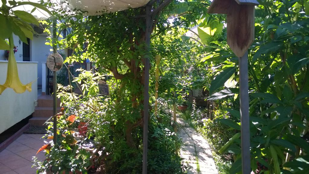 B&B Mare E Sole Brindisi Ngoại thất bức ảnh